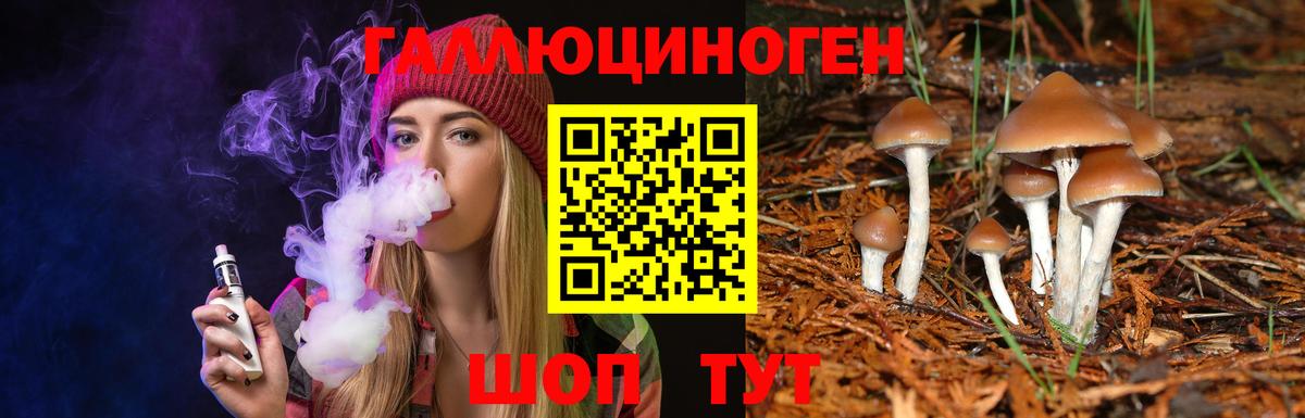 Псилоцибиновые грибы Psilocybine cubensis Тамбов