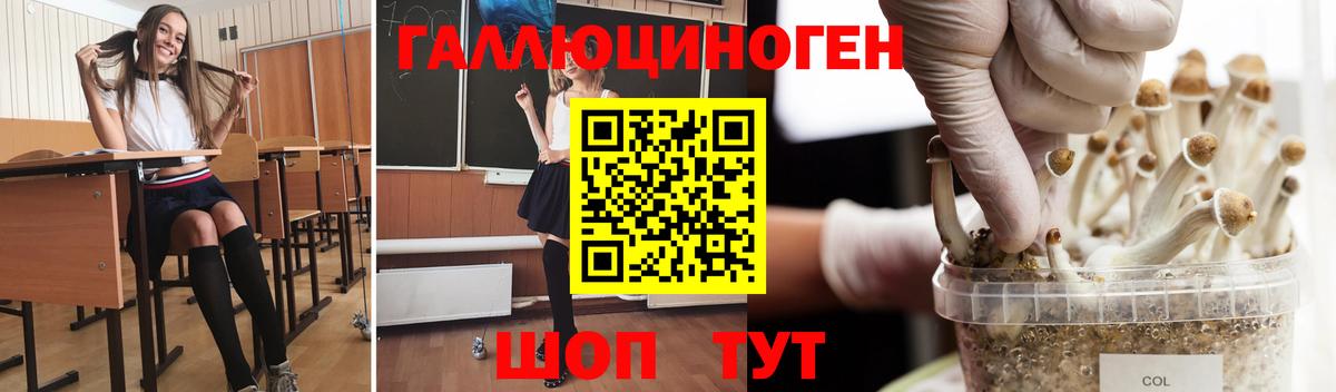 Тамбов  Псилоцибиновые грибы Cubensis  Вход с VPN 